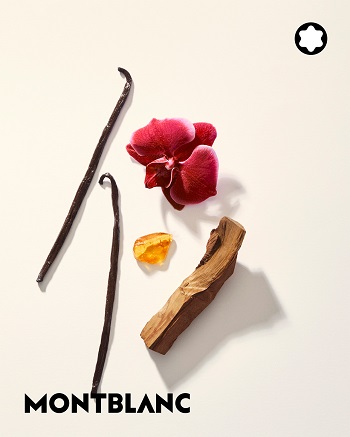 mb_signature_elixir_ingredients-only_4_5_logo_master